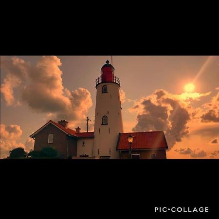 Gastenverblijf De Paddestoel Urk Esterno foto